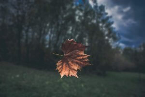 Fall Home Maintenance Tasks