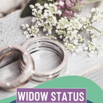 Widow Status Pinterest Pin