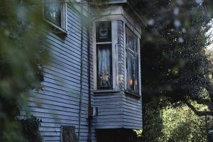 Home Security Options for Widows