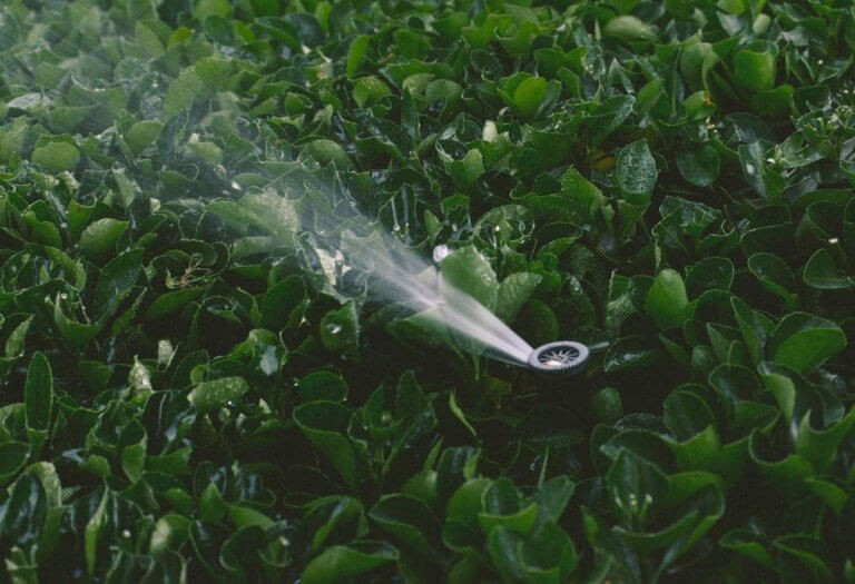 How To Save Your Sanity With This Smart Sprinkler Solution