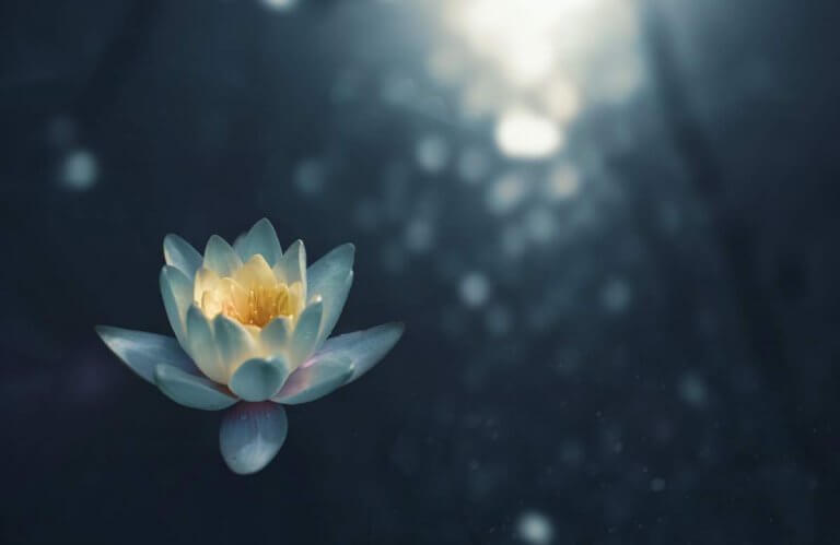 Free Meditations to Help Widows Cope with Grief